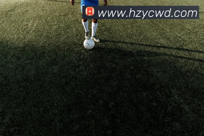 问鼎娱乐APP 封面图